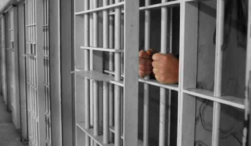 Cezaevinden çıkanların yarısı yeniden suç işliyor