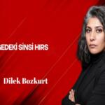 Dilek Bozkurt Yazdı: Gölgedeki Sinsi Hırs