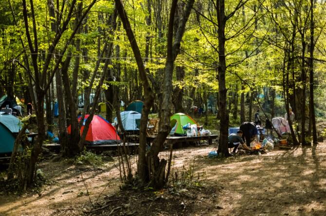 Tatilde Yeni Trend: Otel Yerine Çadır, Kalabalık Yerine Doğa