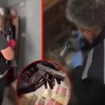 Sosyal medyadan tetikçi arayanlara operasyon!